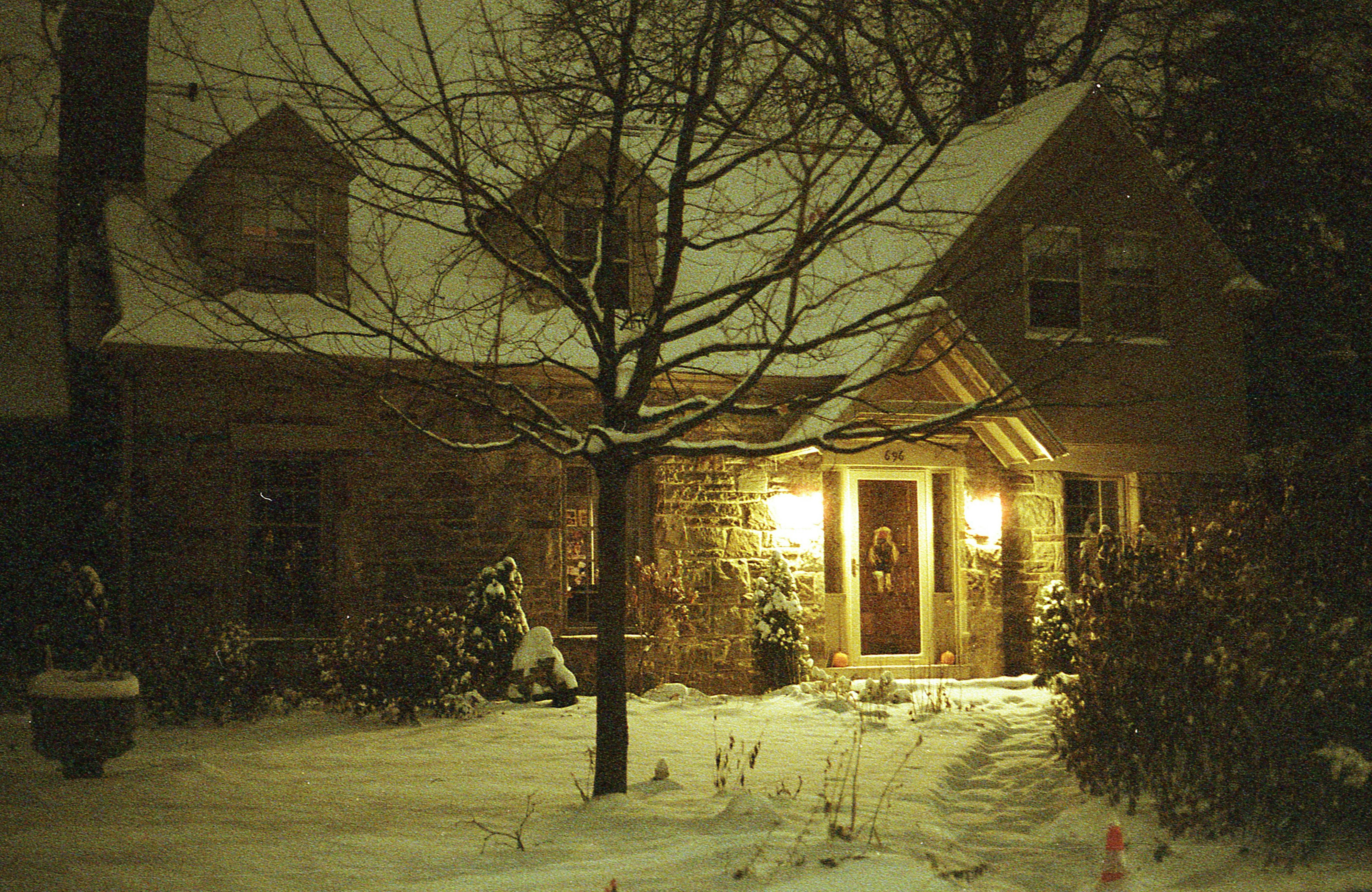 bare trees on snow covered ground near house during daytime